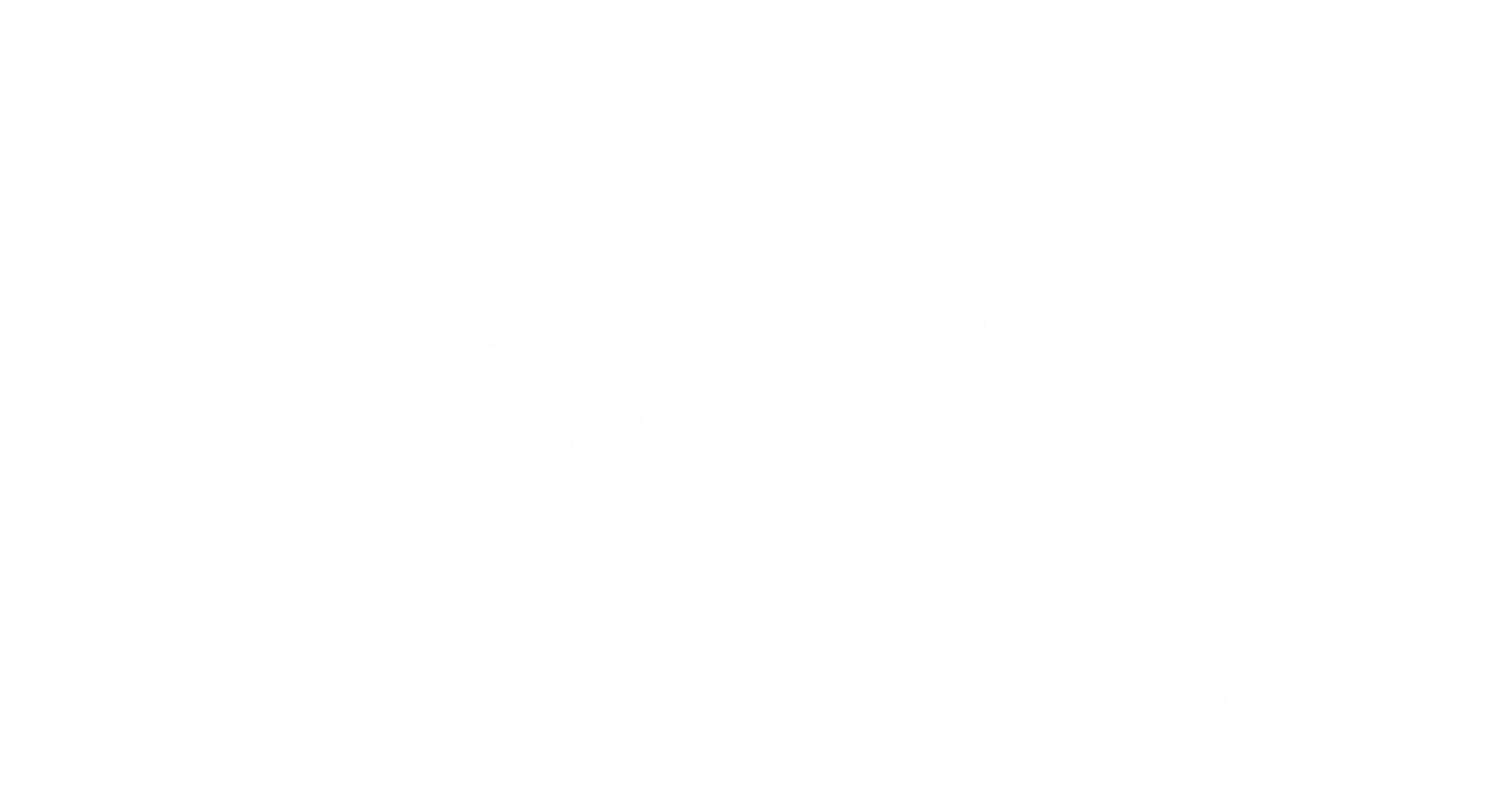 CGV AUDIT BLANCO